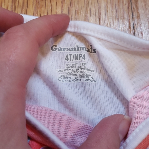 (2) EUC Garanimals Size 4T Shorts Sets - Picture 3 of 3